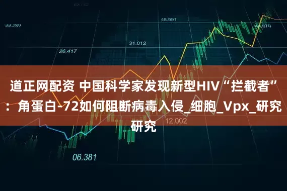道正网配资 中国科学家发现新型HIV“拦截者”：角蛋白-72如何阻断病毒入侵_细胞_Vpx_研究