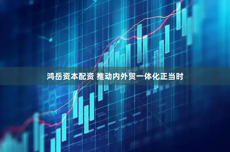 鸿岳资本配资 推动内外贸一体化正当时
