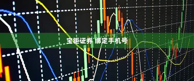 宝钜证券 绑定手机号
