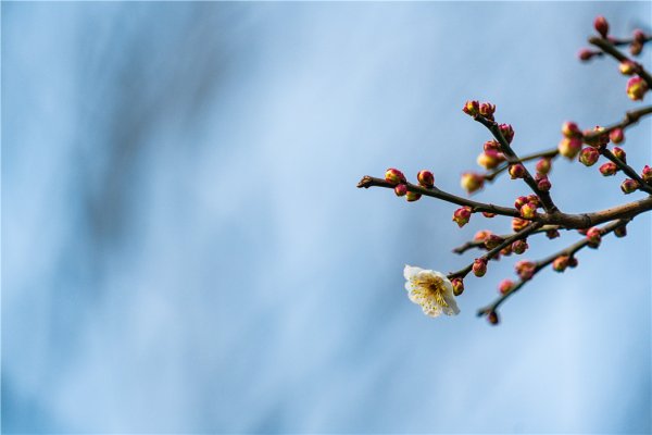 瑶鸿配资 十四主星行运查询2025.10.27